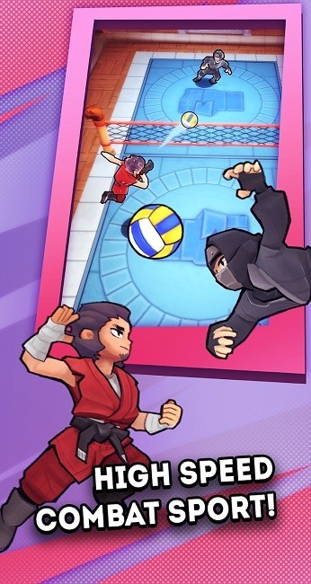 功夫排球Kungfu Volleyv0.2.115 安卓版