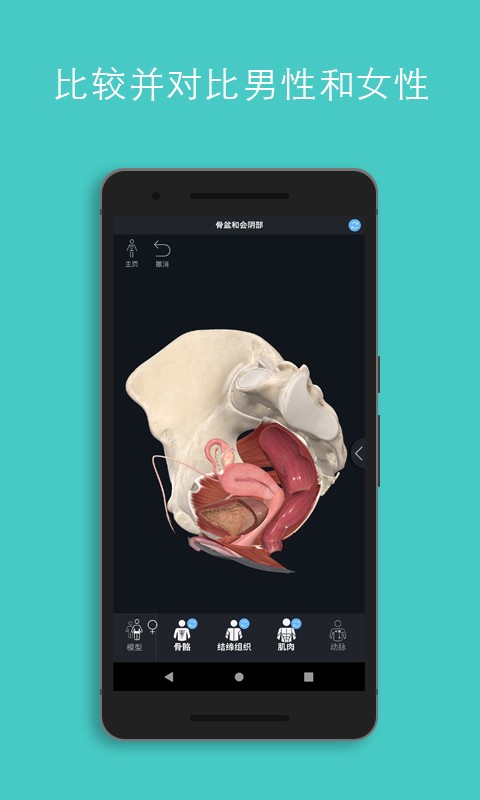 Complete Anatomy 2022(解剖教学平台)v9.0.1 安卓完整版