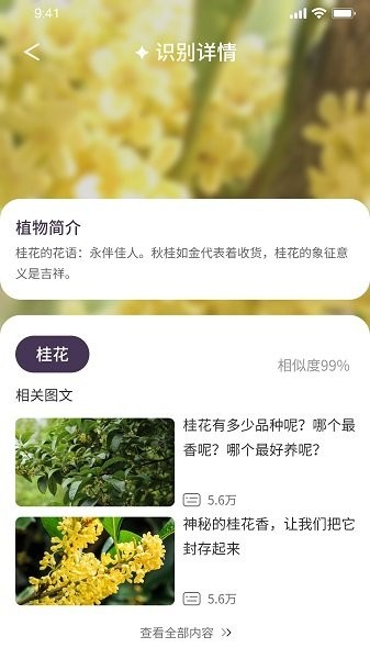 我的开心花园软件