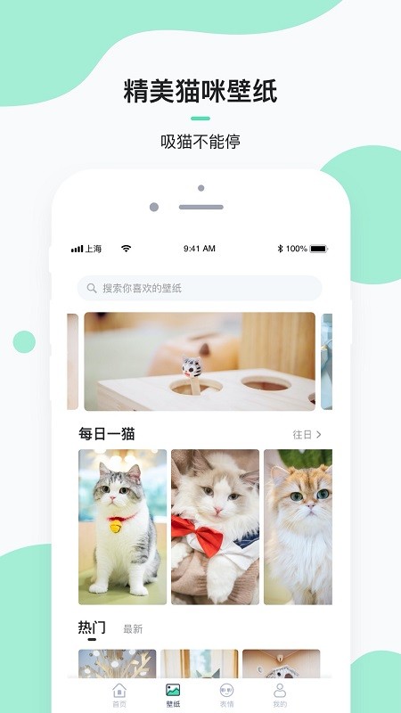 每日一猫壁纸v1.0.0 安卓版