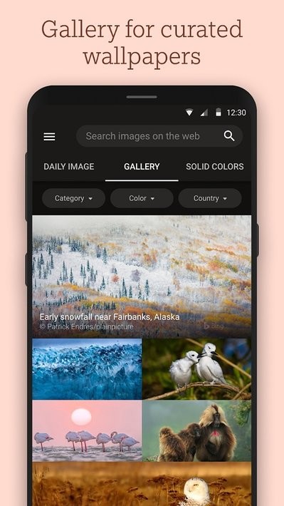 微软Bing Wallpapers安卓版v11.2.31748879 手机版