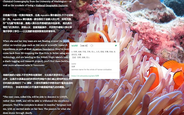 彩云小译双语对照网页翻译插件v1.2.13 绿色版
