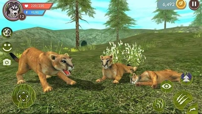 荒野猎豹模拟器最新版v1 安卓版