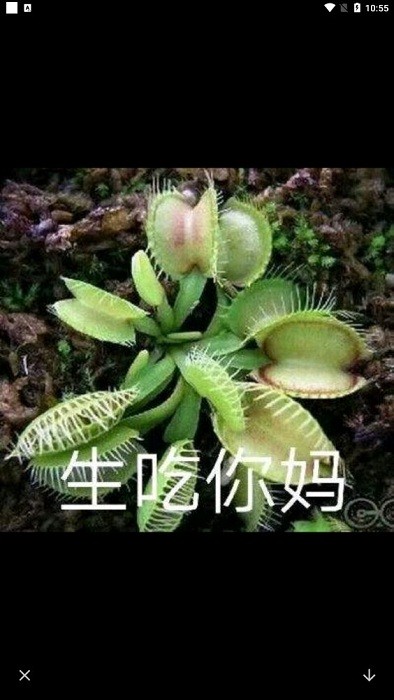 emoji表情包APP
