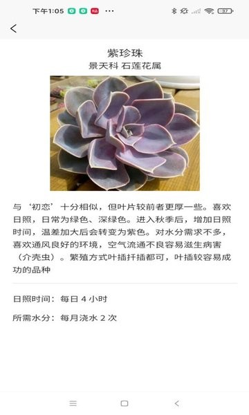 嘟嘟多肉appv1.2 安卓版