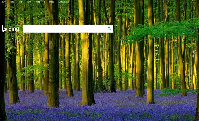 微软Bing Wallpaperv1.0.9.6 中文免费版