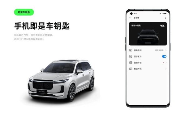 OPPO Carlink
