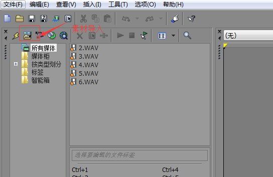 MAGIX VEGAS Pro