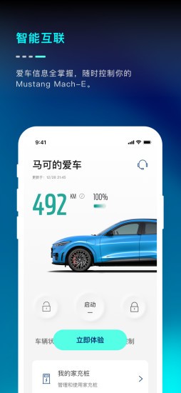 福特MustangMach-Ev1.17.2安卓版