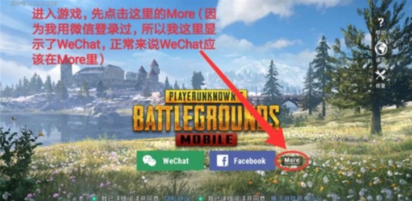 pubg手游国际服