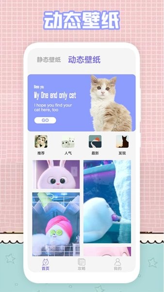 我的猫咪萌宠壁纸v1.1 安卓版