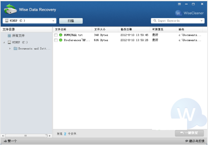 Wise Data Recovery免费数据恢复工具v6.0.3 官方安装版