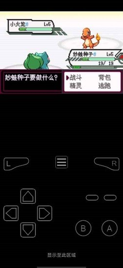 口袋妖怪最后的火红游戏