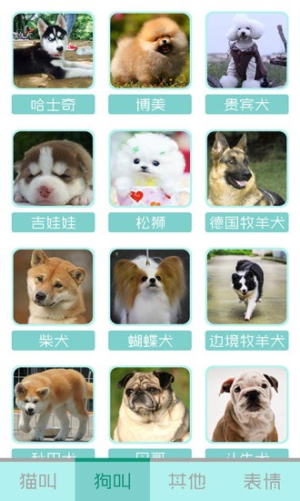 猫叫声狗叫声模拟器v10.0 安卓版