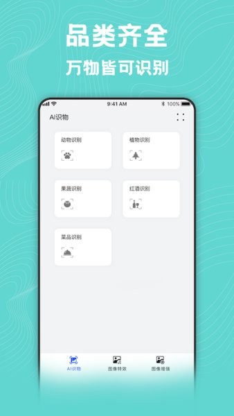 风格转换大师