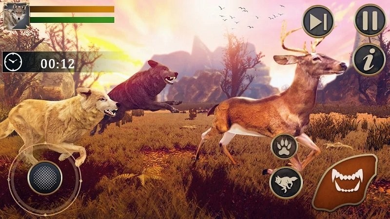 野狼动物模拟器官方版(The Wild Wolf Animal Simulator)v1.0.3 安卓版