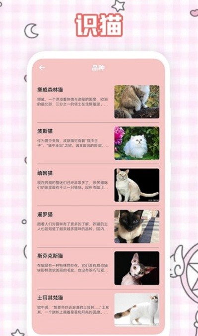人猫翻译神器最新版v2.2.4安卓版