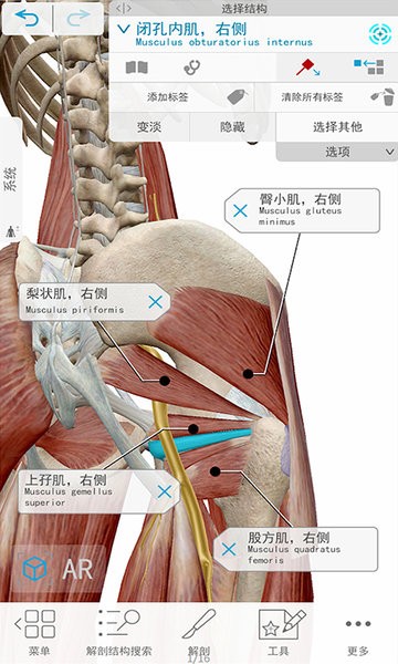 人体解剖3D教学app