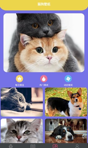 拆家特工队软件v1.1 安卓版