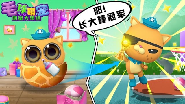 毛球萌宠明星大集结官方版v1.06 安卓版