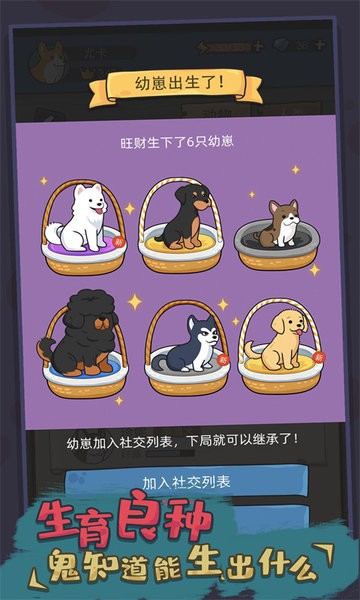 你好狗好喜欢v1.0.6 安卓版
