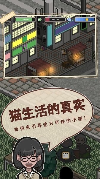 卡通猫游戏