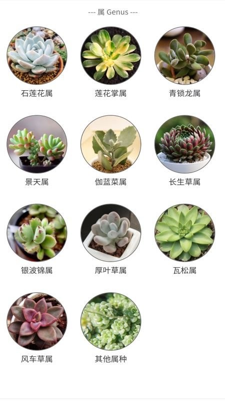 潮句多肉植物汇app下载