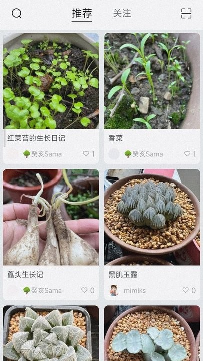 小植物记录app下载
