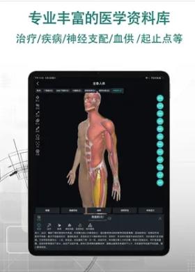 掌上3D解剖-人体解剖图谱和课程 ios版v2.2.1 iphone 版